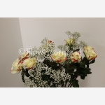 Alison rozen 60 cm met gipskruid