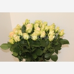 (afbeelding voor) Kiwi rozen 60 cm