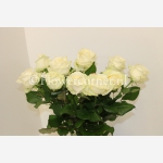 Witte rozen 60 cm