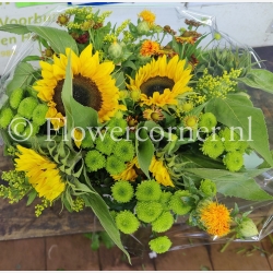 (afbeelding voor) zonnebloemen