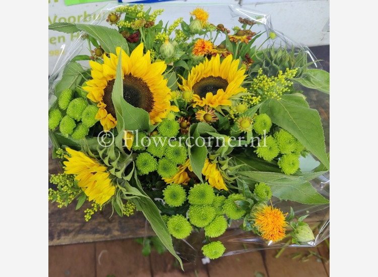 (afbeelding voor) zonnebloemen